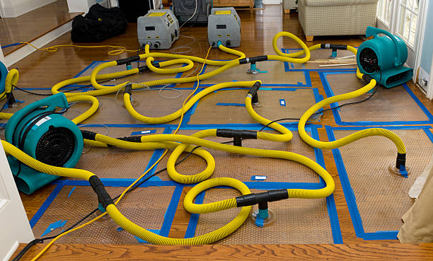 Professional Storm Water Damage Restoration technician working in Talladega, AL